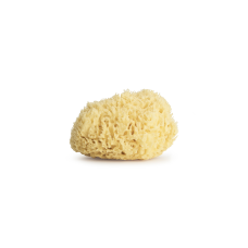 Sevin London HONEYCOMB SPONGE 5.5 - ГУБКА ДЛЯ ДУША Sevin London HONEYCOMB SPONGE 5.5 - ГУБКА ДЛЯ ДУША