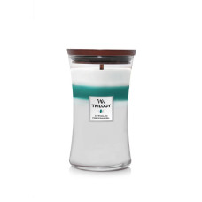 Ароматична свічка з деревними нотами Woodwick Large Icy Woodland 609 г