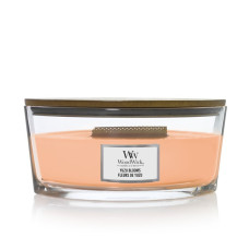 Ароматична свічка з ніжними квітковими нотами Woodwick Ellipse Yuzu Blooms 453 г Ароматична свічка з ніжними квітковими нотами Woodwick Ellipse Yuzu Blooms 453 г