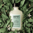 DEPOT No. 501 Moisturizing&Clarifying Beard Shampoo 250ml - Зволожуючий та очищуючий шампунь для бороди "Вишукана шавлія" - фото №1