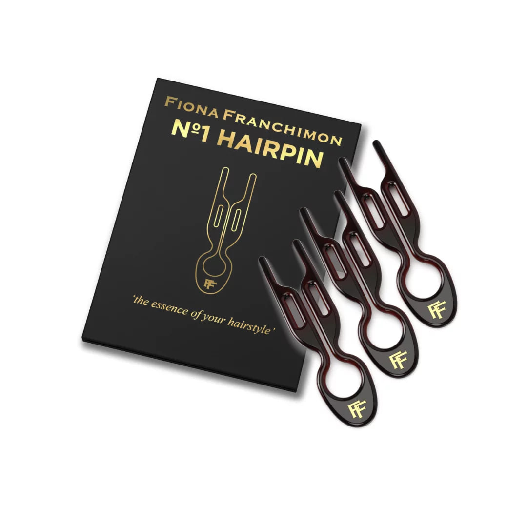 Fiona Franchimon Hairpin Brown - Шпильки No1 (Коричневі, 3 шт)