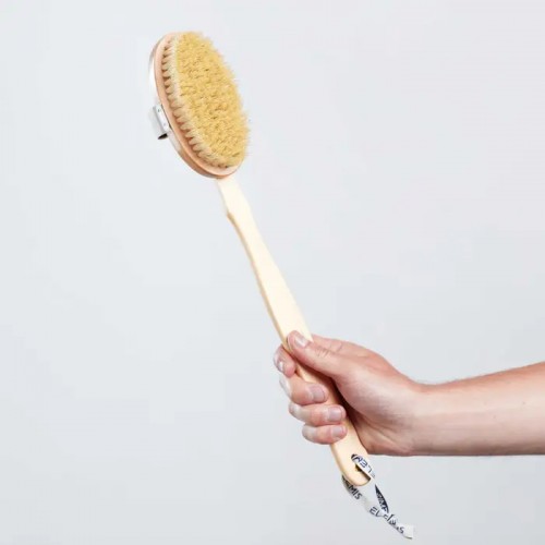 ELEMIS Body Detox Skin Brush - Детокс масажна щітка для тіла, шт - фото №1 ELEMIS Body Detox Skin Brush - Детокс масажна щітка для тіла, шт - фото №1