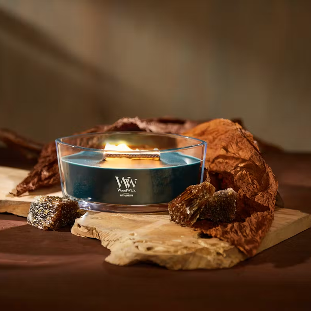 Woodwick Ellipse Antiquarium 453 г - Ароматична свічка з ароматом білого кардамону та тютюнового листя - фото №2 Woodwick Ellipse Antiquarium 453 г - Ароматична свічка з ароматом білого кардамону та тютюнового листя - фото №2